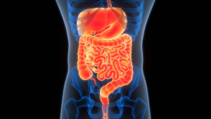 Healthy foods that support digestion and strengthen immunity naturally