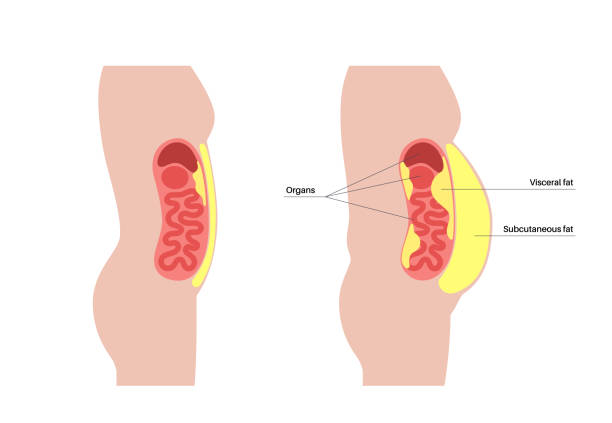 Science-based Weight loss strategies
